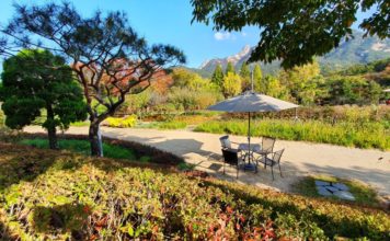 Seoul Cafe with a Mountain View: Pointvill Cafe