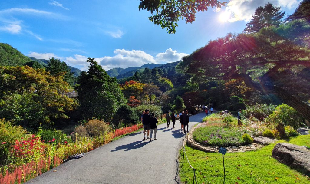 Garden of Morning Calm in South Korea
