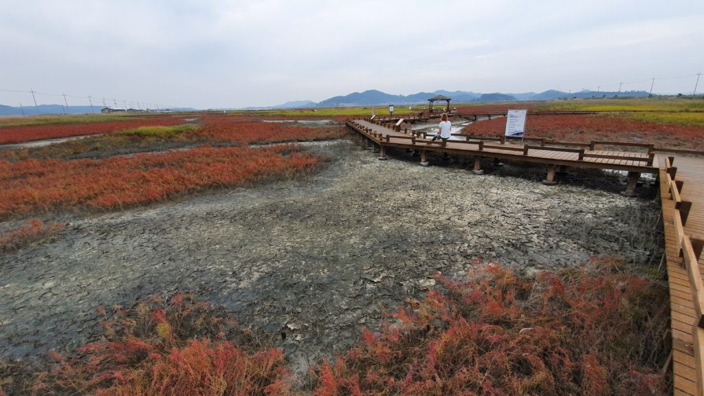 Taepyeong Yeomsaeng Botanical Garden on Jeungdo Island in South Korea