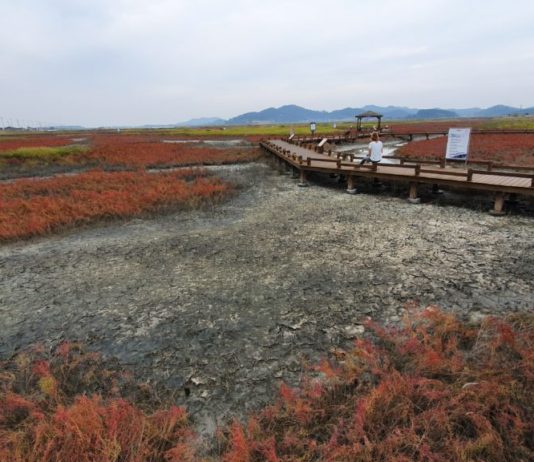 Taepyeong Yeomsaeng Botanical Garden on Jeungdo Island in South Korea