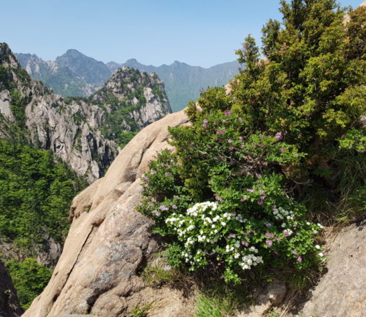 Seoraksan National Park in Sokcho, South Korea