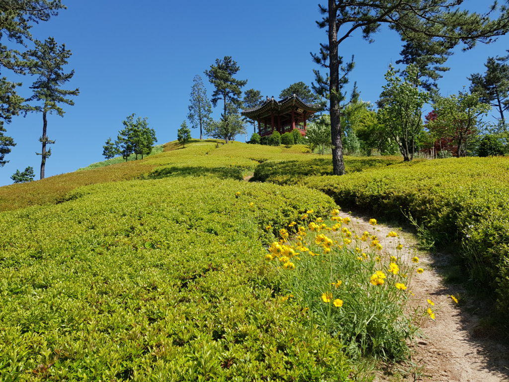 Korean garden at Suncheon Bay National Garden