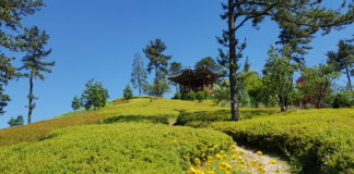 Korean garden at Suncheon Bay National Garden