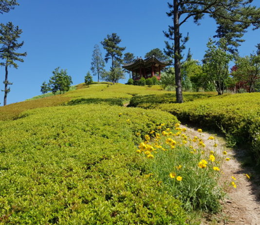 Korean garden at Suncheon Bay National Garden