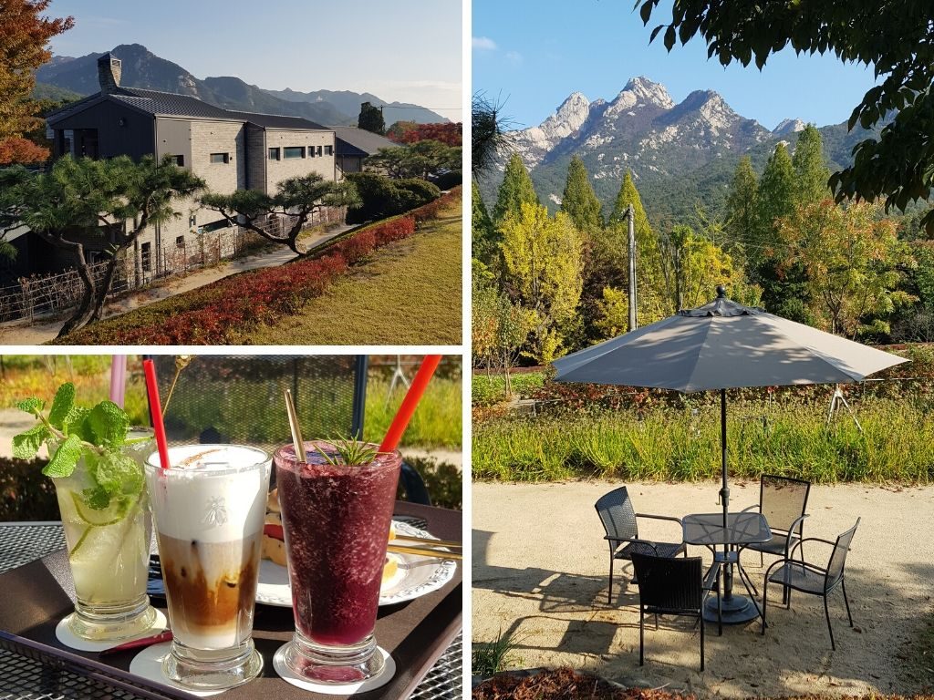 Cafe in Seoul with a Mountain View - Pointvill