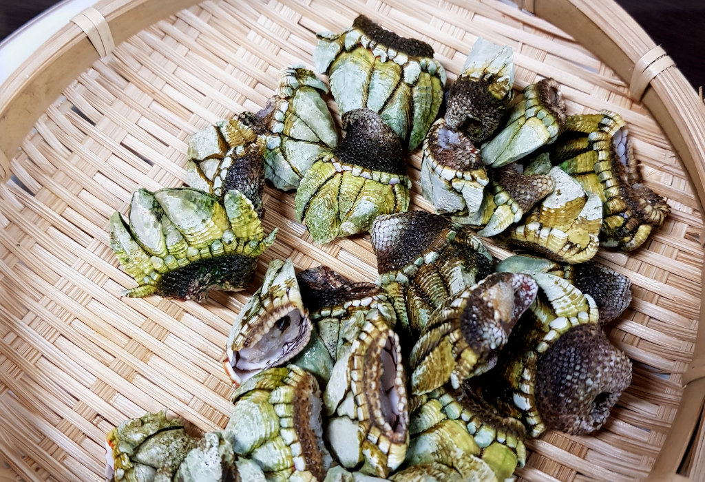 Kamenote dish on Yakushima Island in Japan