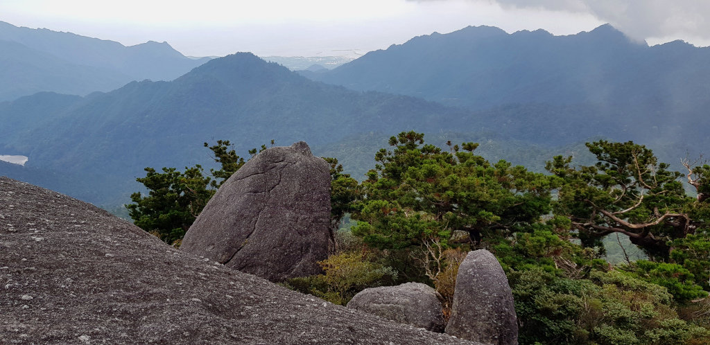 Mountain top of Tachudake on Yakushima Island in Japan