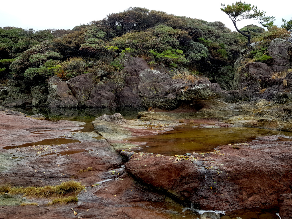 Tashiro Coast on Yakushima Island In Japan