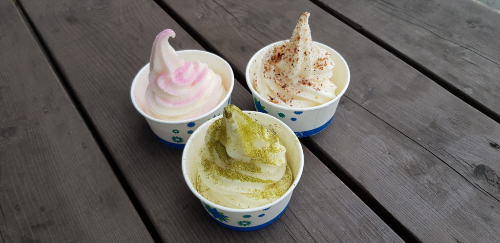 Sea Salt Ice Cream at Jeungdo Salt Farm in South Korea