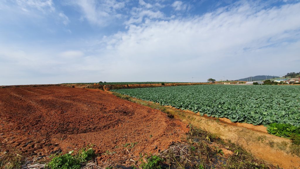Muan Red Clay vegetable farm in South Korea