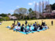 Office workers having a Sakura picnic Sinjuku Gyoen garden in Tokyo, Japan