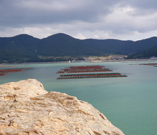 View from Song Si-yeol Writing Rock on Bogil Island in South Korea