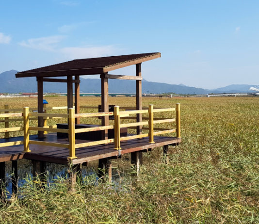 Lookout at Gangjin Bay Eco Park in South Korea