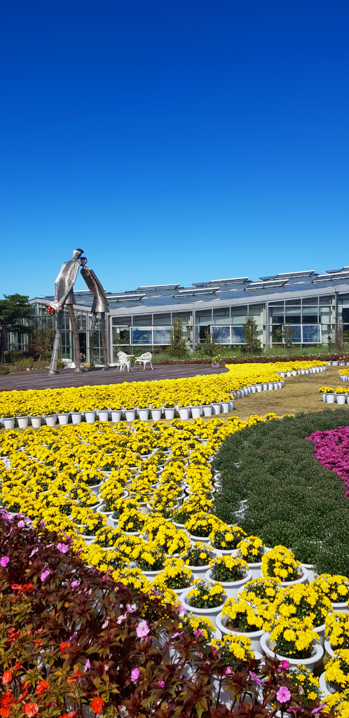 Flowers at Jirisan Herb Valley in South Korea