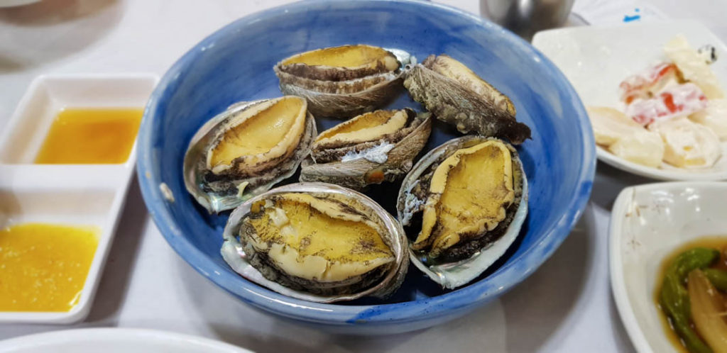 Abalone on Wando Island in South Korea