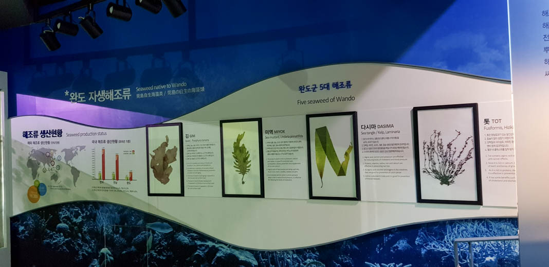 Sea Algae Center on Wando Island in South Korea