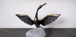 Gallery WheretoKim: Cormorant from Norway