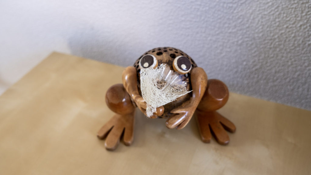 Gallery WheretoKim: Frog from Malaysia