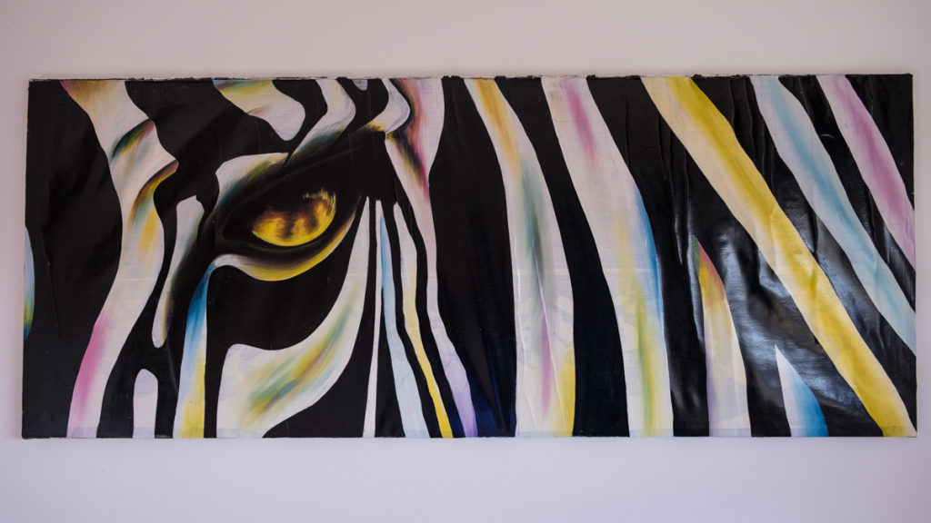 Gallery WheretoKim: Zebra from Zanzibar