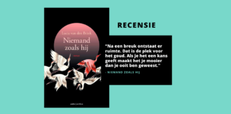 Nederlands boek - Lucia van den Brink - Niemand zoals hij