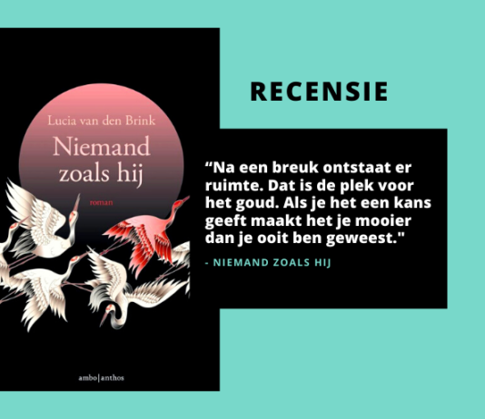 Nederlands boek - Lucia van den Brink - Niemand zoals hij