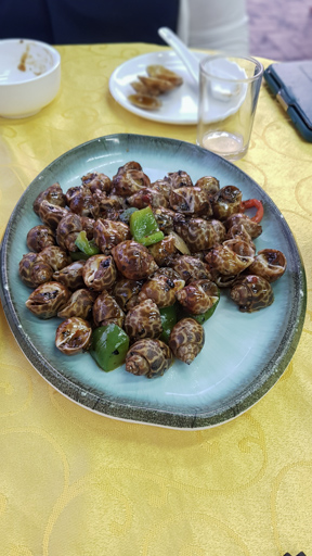 Cheung Chau - Snails