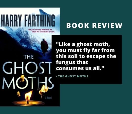 Review of The Ghost Moths by Harry Farthing