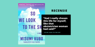 Recensie: So We Look to the Sky van Misumi Kobo