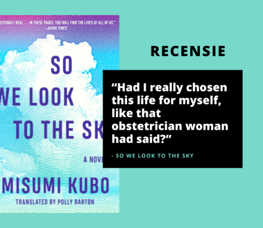 Recensie: So We Look to the Sky van Misumi Kobo