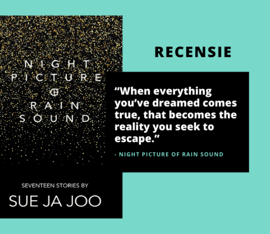 Recensie: Night Picture of Rain Sound van Sue Ja Joo