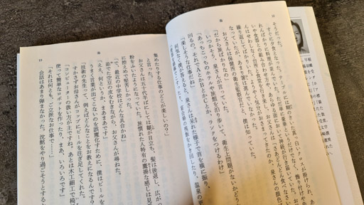 Japanese N3 reading practice Yoko Ogawa