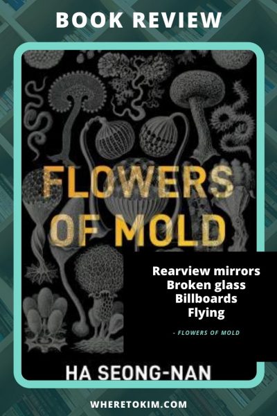 Flowers of Mold by Ha Seong-nan - Korean book