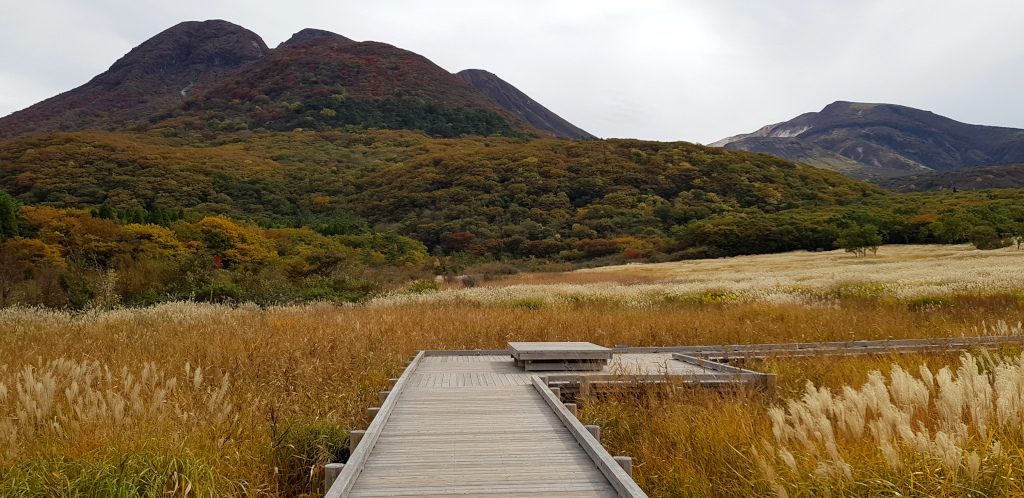 Tadewara Wetlands near the Kuju Mountains on Kyushu Island in Japan