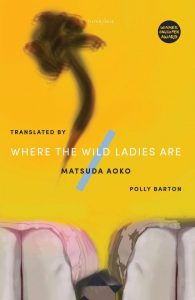 Japan book: Matsuda Aoko - Where the Wild Ladies Are